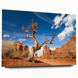 Large abstract depiction of Death Valley in muted earth tones on acrylic glass, suitable for bedroom or dining room art.
