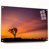 Acrylic print of Joshua Tree with muted earth tones, ideal for bedroom or dining room decor.