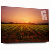 Acrylic print of a large abstract depiction of Napa Valley in earthy tones, suitable for bedroom or dining room decor.