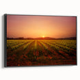 Black and white framed canvas of Napa Valley landscape, ideal for bedroom wall art.