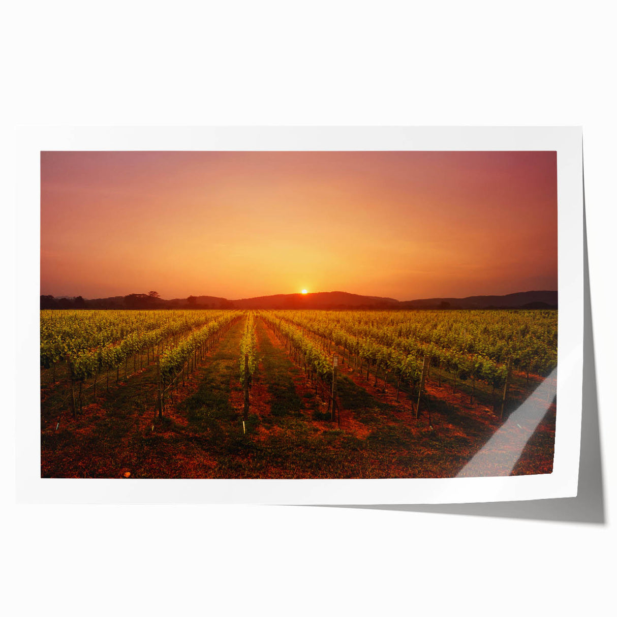 Rolled print of Napa Valley landscape with soft green and earth tones, ideal for art wall dining room.