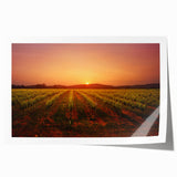 Rolled print of Napa Valley landscape with soft green and earth tones, ideal for art wall dining room.