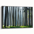 Black and white framed canvas of San Francisco landscape, ideal for bedroom wall decor.