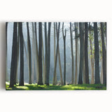 Black and white photo of San Francisco skyline on stretched canvas, ideal for kitchen wall art.