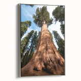 Framed canvas featuring a vintage-style landscape art painting of California's Sequoia trees in muted earth tones.
