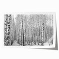 Rolled canvas print of Aspen trees in Colorado with muted earth tones, ideal for art wall dining room.