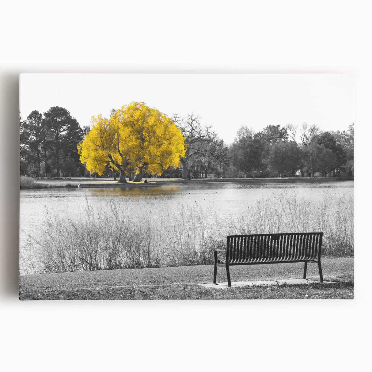 Black and white photograph of Denver skyline on large stretched canvas, suitable for kitchen wall art.