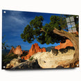 Acrylic print of Colorado Springs landscape in muted earth tones, suitable for bedroom or dining room decor.