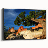 Black and white framed canvas of Colorado Springs landscape, ideal for bedroom wall art.