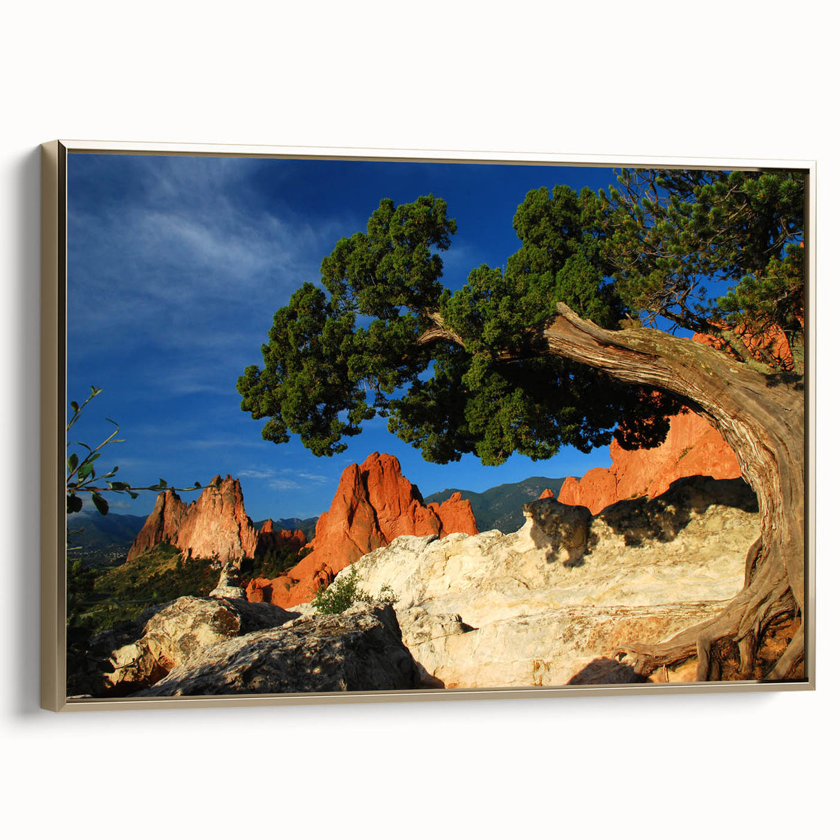 Framed canvas of Colorado Springs landscape in muted earth tones, ideal for bedroom wall art.