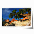 Extra large rolled print of Colorado Springs scenery with vibrant green and blue tones, ideal for dining room wall art.