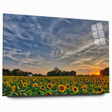 Large abstract wall art depicting a Kansas scenery in muted earth tones on acrylic glass.