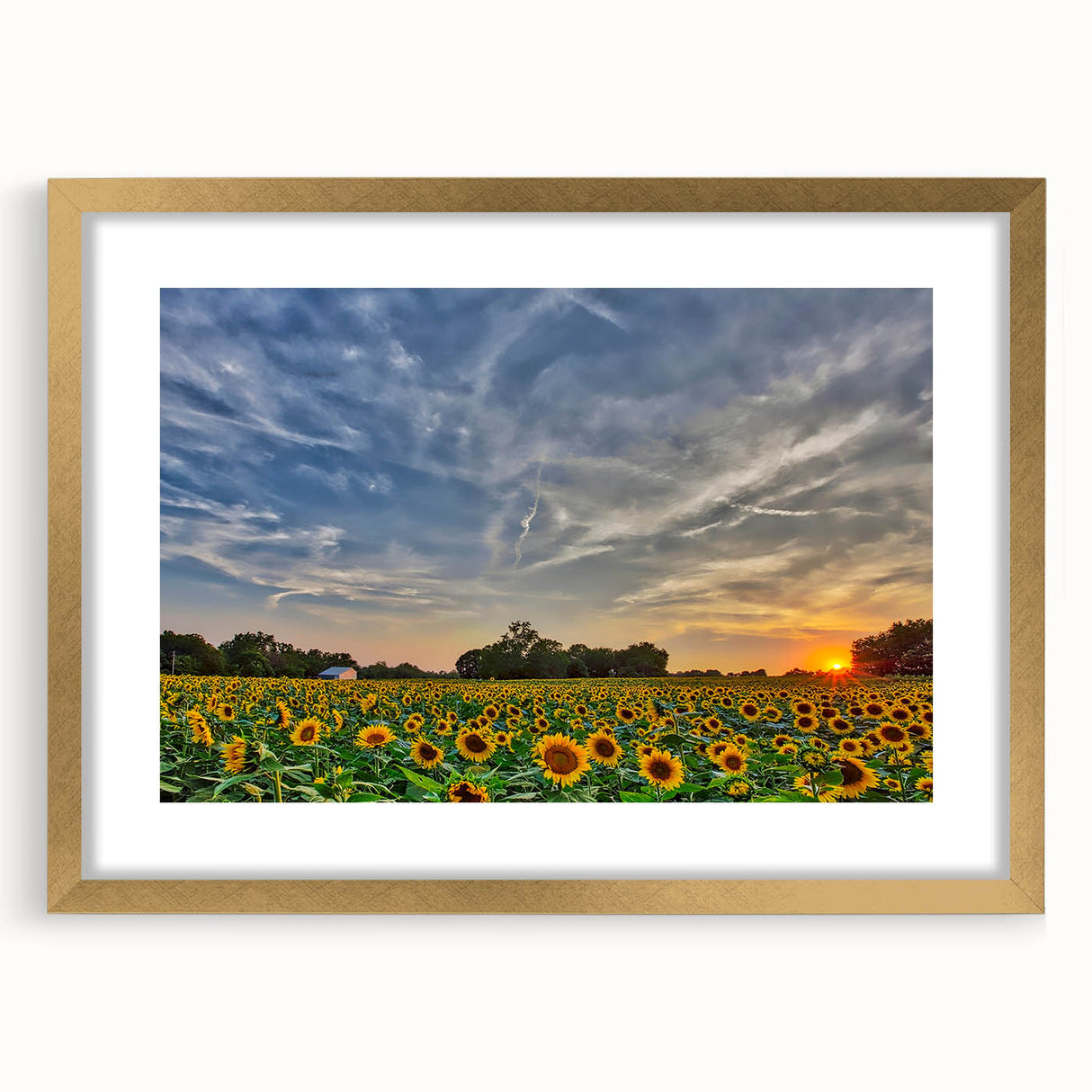 Extra large abstract art print of Kansas scenery in textured style, with gold frame and mat, ideal for living room decor.
