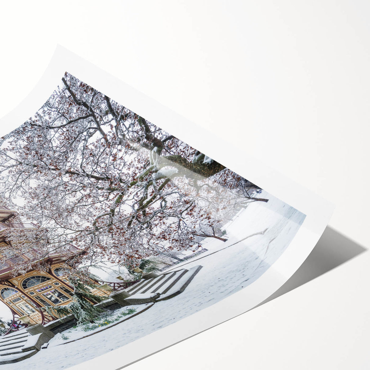 Extra large wall art featuring line art flowers in muted tones on a rolled print, ideal for large living room decor.