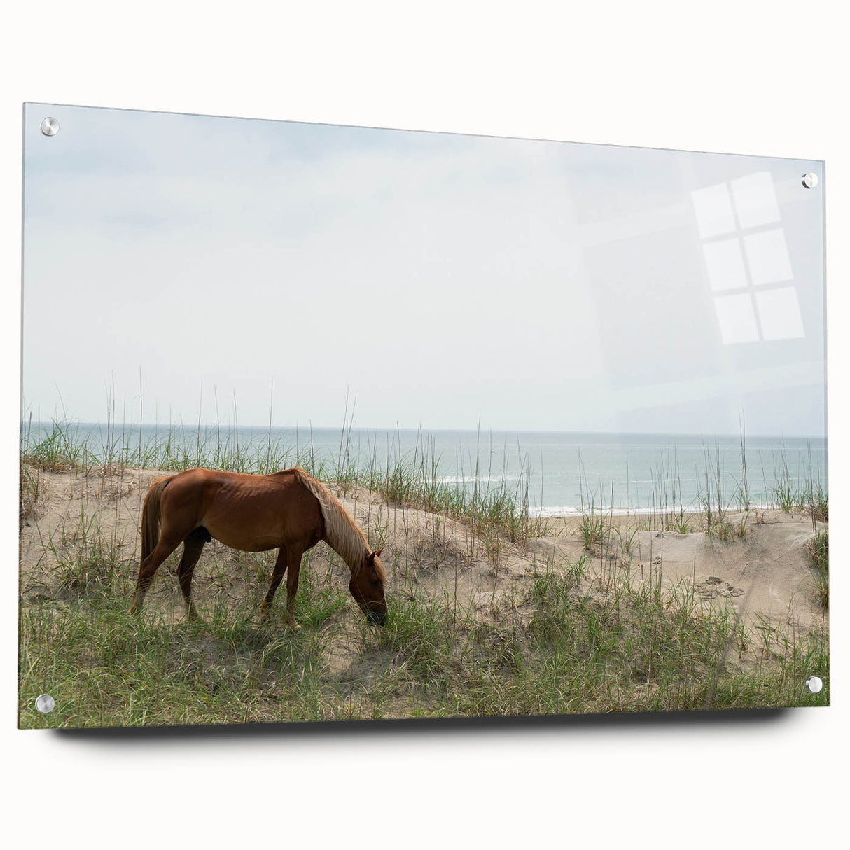 Acrylic print of Outer Banks scenery in muted oceanic tones, suitable for bedroom or dining room decor.