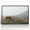 Large abstract wall art of Outer Banks, North Carolina in mid-century modernist style, acrylic print in black frame.