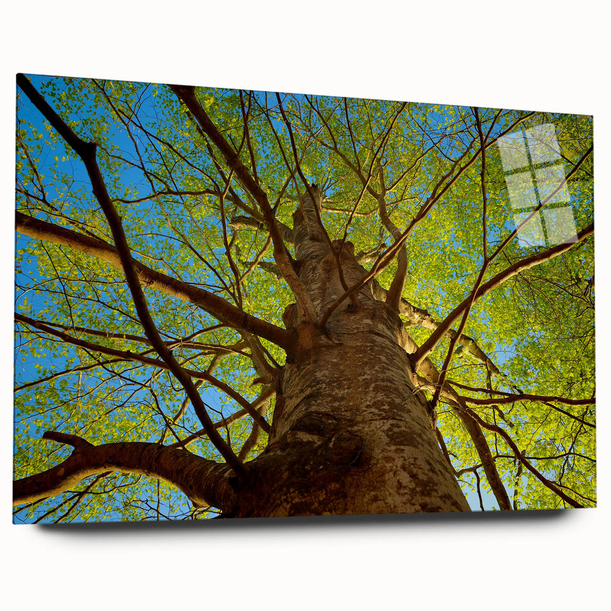 Acrylic print of a large abstract depiction of Raleigh skyline in muted blue and gray tones.