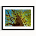 Abstract art print of Raleigh, featuring vibrant colors and textured design on a large framed canvas.