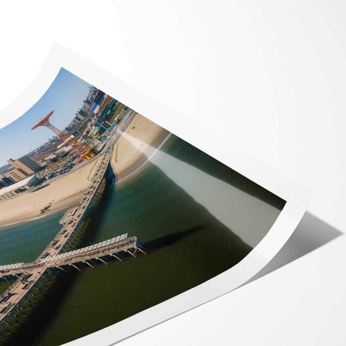 Extra large wall art featuring line art flowers and Coney Island scenery on a rolled print.