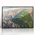 Large abstract wall art of Central Park in muted green and brown tones, framed in black acrylic.