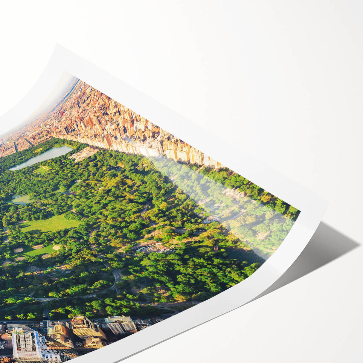 Extra large wall art featuring line art flowers and Central Park scenery in muted green and brown tones.
