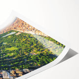 Extra large wall art featuring line art flowers and Central Park scenery in muted green and brown tones.
