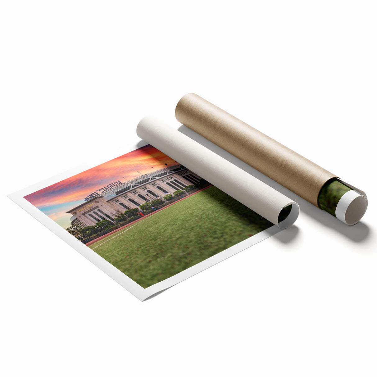 Extra large rolled print featuring a New York Yankees theme with floral elements in muted tones.