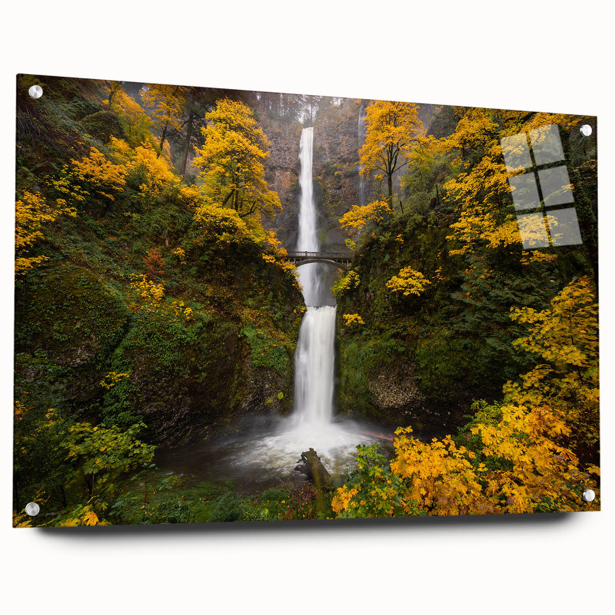 Acrylic print of Multnomah Falls in Oregon, showing the waterfall and surrounding greenery.