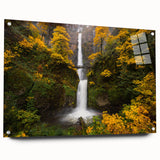 Acrylic print of Multnomah Falls in Oregon, showing the waterfall and surrounding greenery.