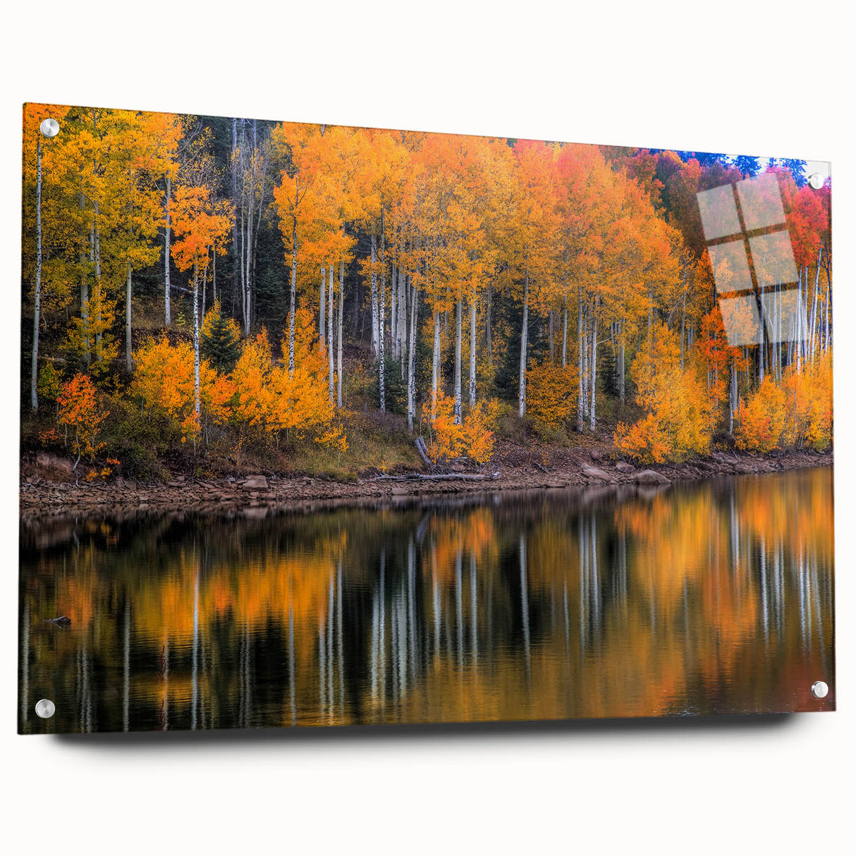 Acrylic print of Zion National Park in muted earth tones, ideal for bedroom or dining room decor.