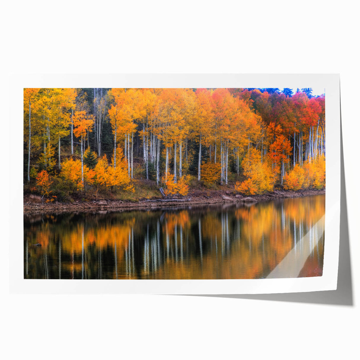 Rolled print of Zion National Park with lush greenery and towering red cliffs, ideal for art wall dining room.