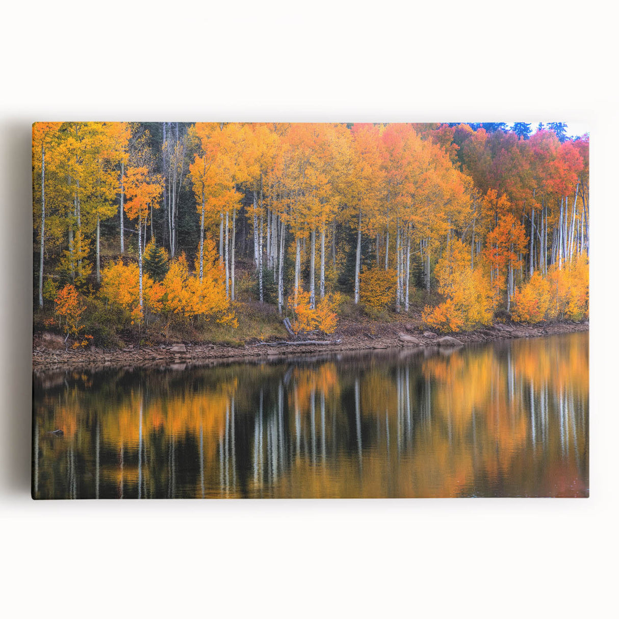 Black and white stretched canvas of Zion National Park, ideal for kitchen wall art.