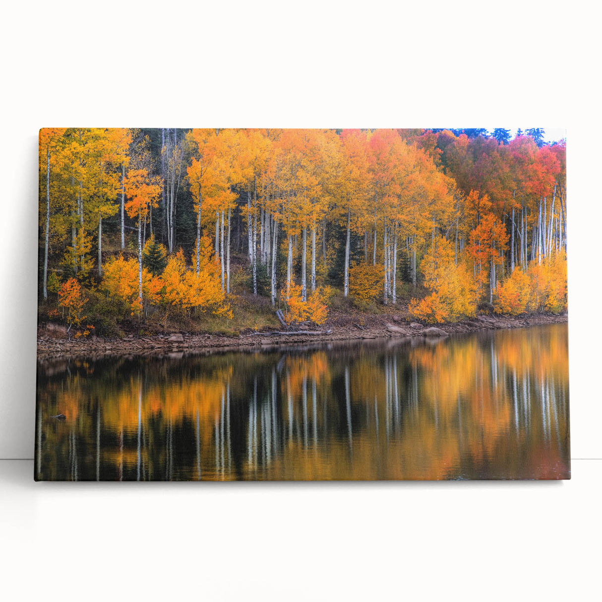 Black and white photograph of Zion National Park on stretched canvas, ideal for kitchen wall art.