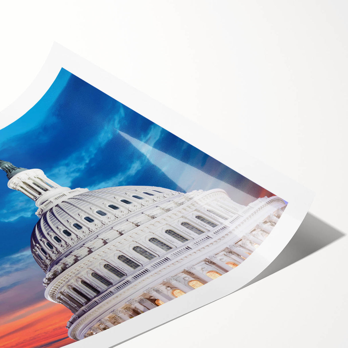 Extra large wall art featuring line art flowers and the Washington DC Capitol in muted earth tones on rolled print.