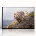 Large abstract wall art depicting the Ethiopian scenery on framed acrylic in black, ideal for modern living room decor.