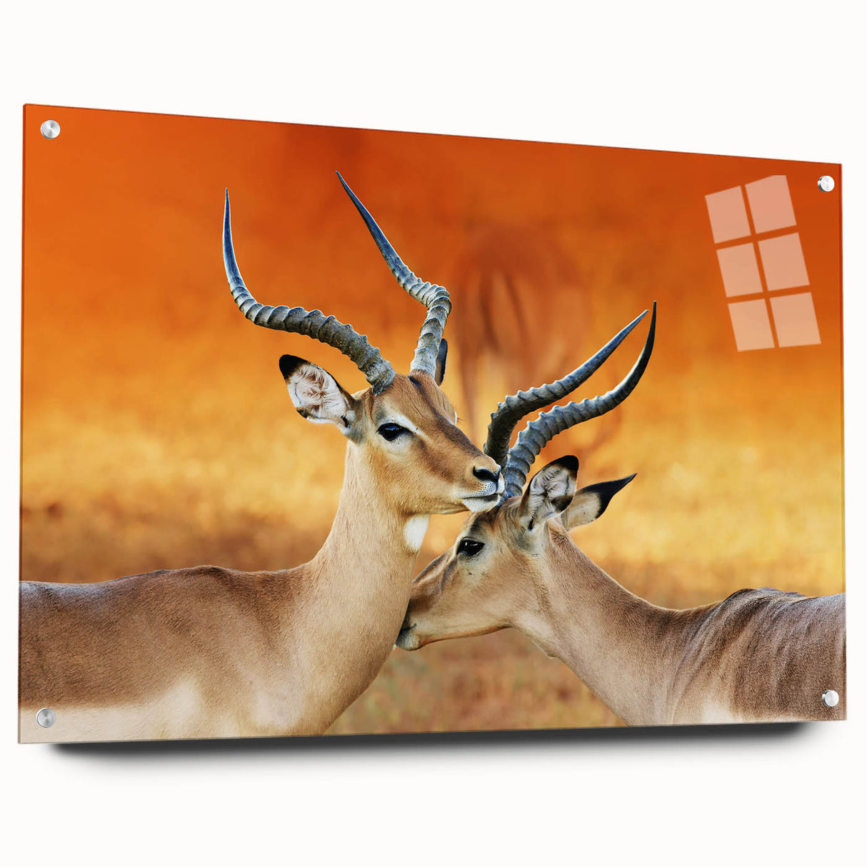 Large abstract wall art of a Namibian landscape in muted earth tones on acrylic glass.