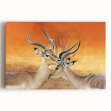Black and white stretched canvas of an African landscape, ideal for kitchen wall art.