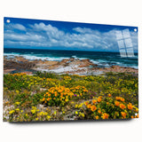 Large abstract wall art depicting the South African scenery in muted earth tones on acrylic glass.