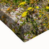 Large art featuring a monochrome African landscape on stretched canvas, suitable for bedroom decor.