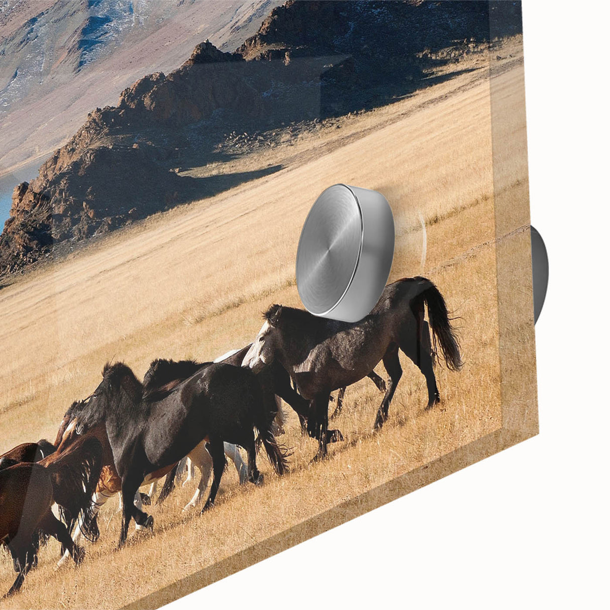 Large abstract wall art featuring a Mongolian landscape in muted earth tones on acrylic glass.
