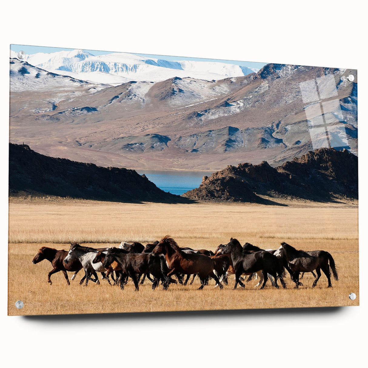 Large abstract wall art depicting a Mongolian landscape in muted earth tones on acrylic glass.