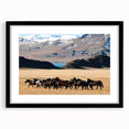 Extra large abstract art print depicting a colorful, textured Mongolian landscape on a framed black mat.