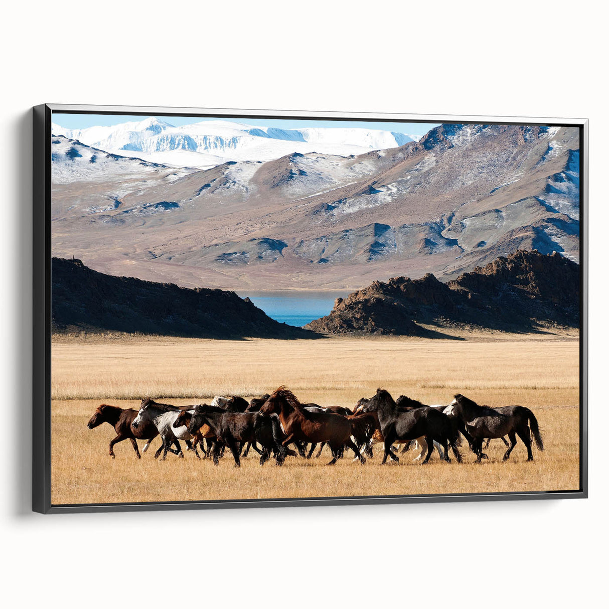 Black and white wall art of a Mongolian landscape on framed canvas, suitable for bedroom decor.