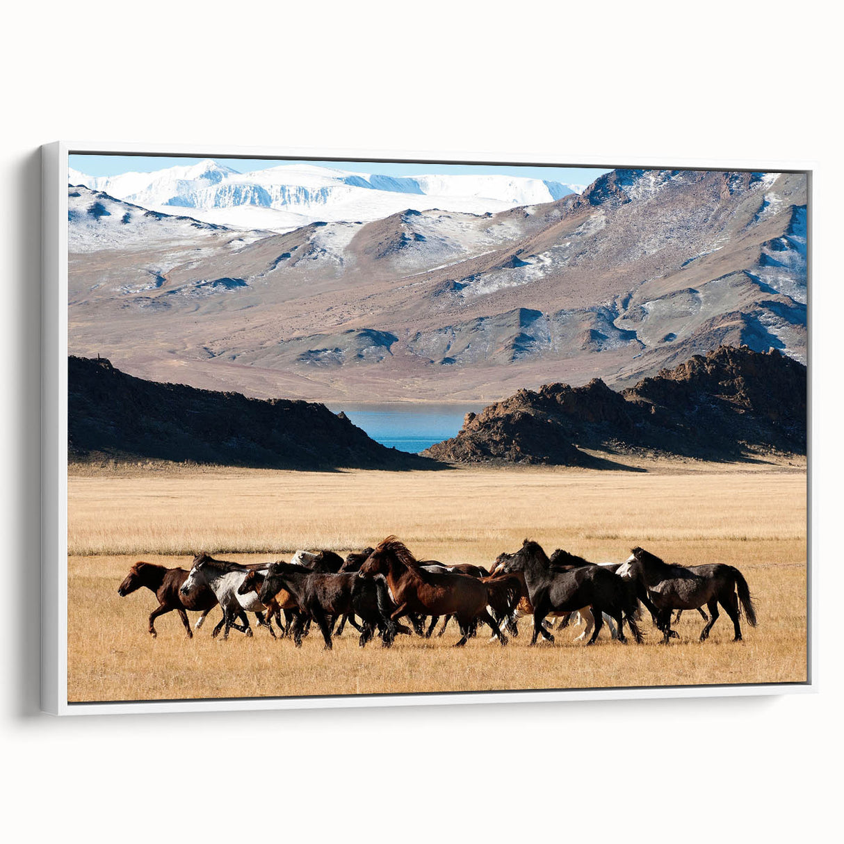 Vintage poster art of a Mongolian landscape on a framed canvas, featuring vibrant colors and black accents.