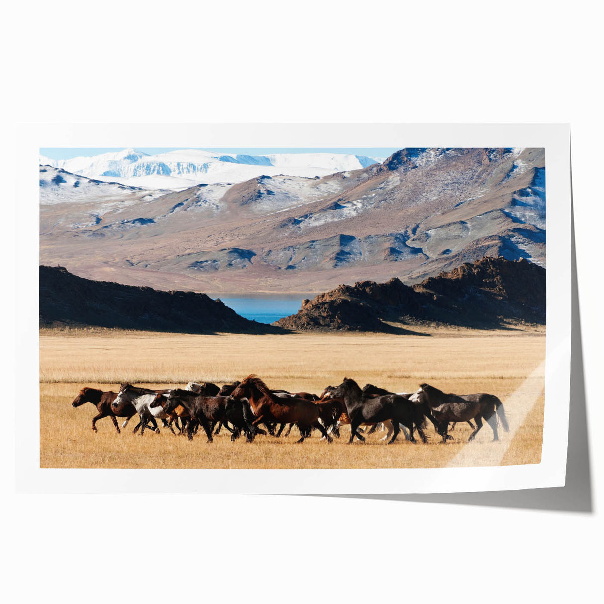 Extra large rolled print of a Mongolian landscape with vibrant floral elements, ideal for dining room wall art.