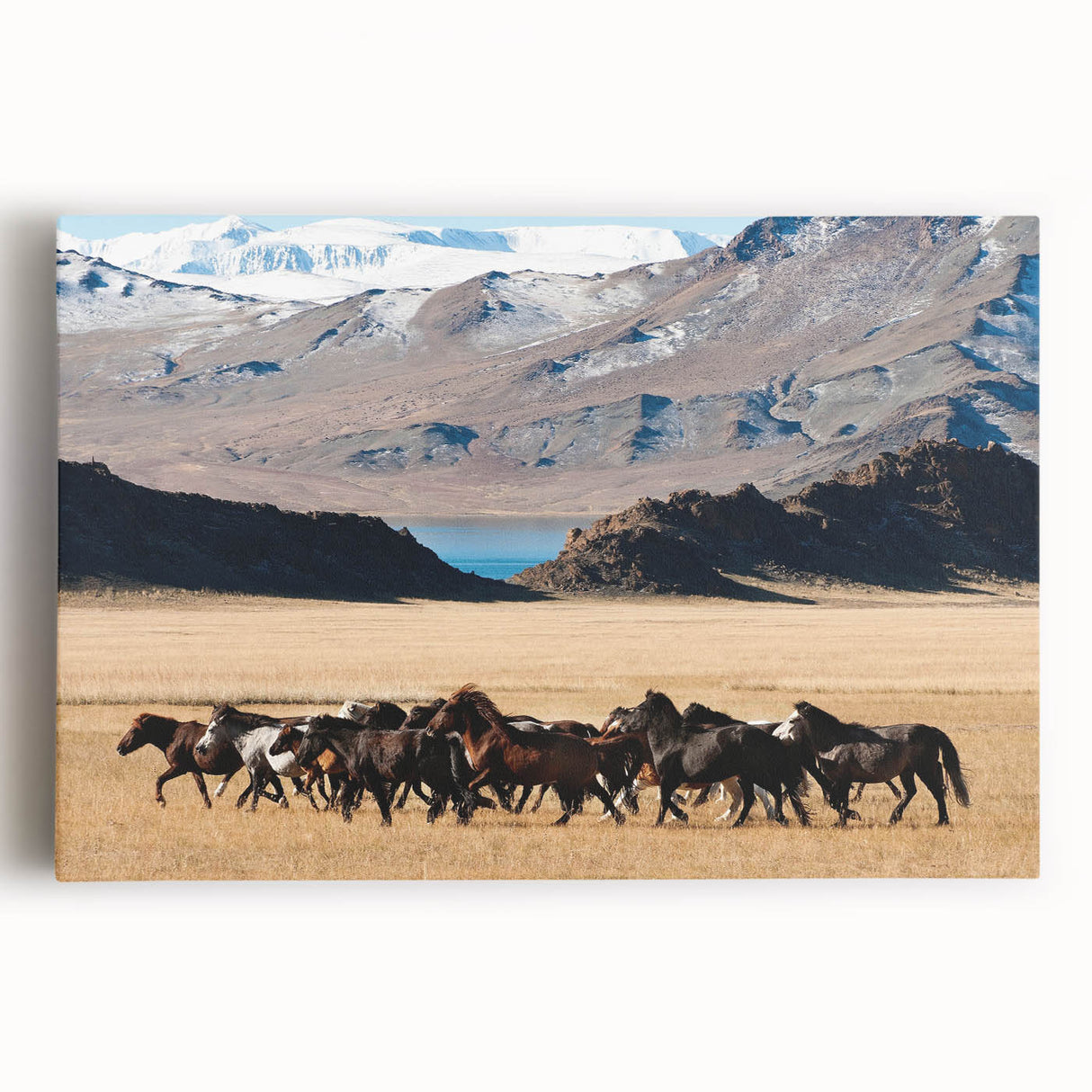 Black and white photograph of a Mongolian landscape on stretched canvas, ideal for kitchen art.