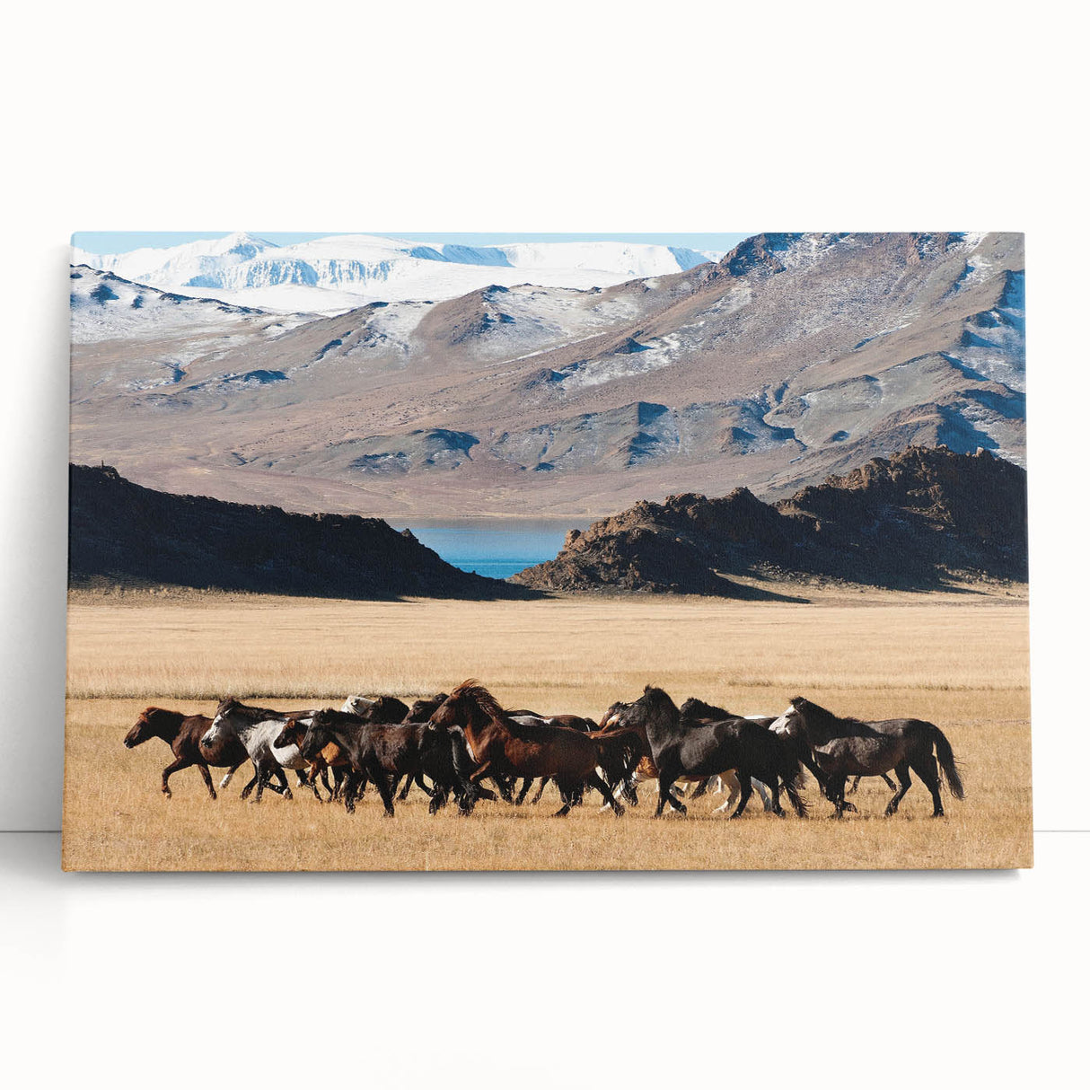 Black and white photograph of Mongolian landscape on stretched canvas, ideal for kitchen wall art or bedroom ambiance.