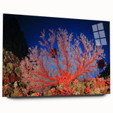 Acrylic print of the Great Barrier Reef in vibrant blues and greens, ideal for bedroom or dining room art.