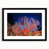 Extra large framed print of an abstract depiction of the Great Barrier Reef in vibrant colors, ideal for living room decor.