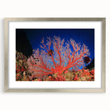 Abstract art print of the Great Barrier Reef in cool blue and green shades on a framed silver canvas.